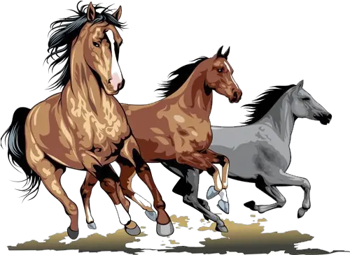  Running Horses Horse Runing Image Png Horse Running Png