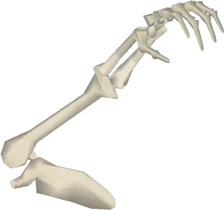  Download Bone Arm Bone Arm Png Arm Transparent