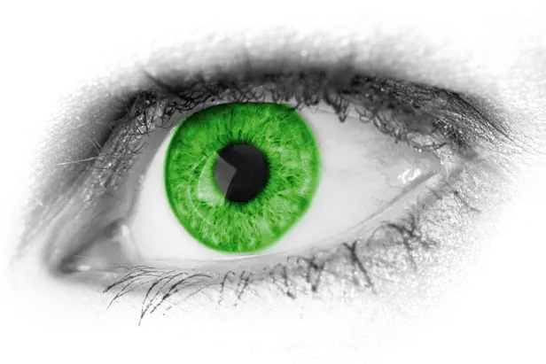  Download Eyes Png Real Green Eyes Transparent Green Eyes Png