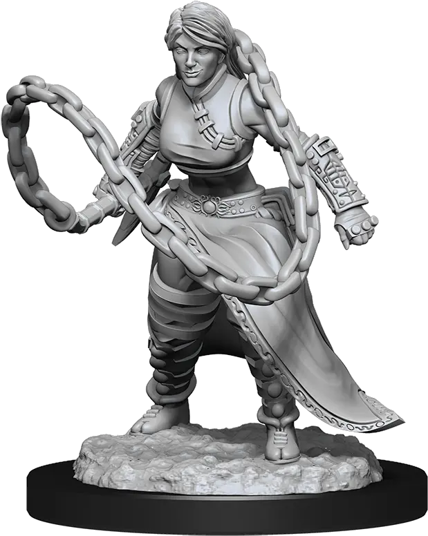  Human Monk Marvelous Miniatures Female Human Monk Png Dungeons And Dragons Monk Icon