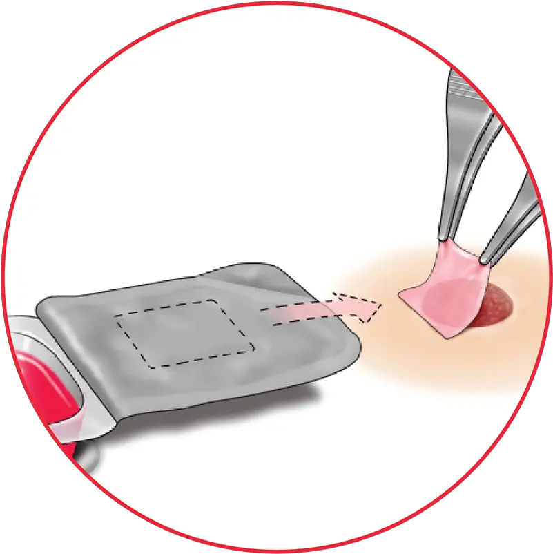  Product Details U0026 Resources Organogenesis Affinity Blood Png Affinity Icon