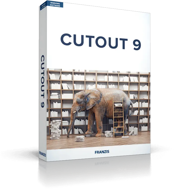  Cutout 9 Overview Elephant In The Room Library Png Elephant Tusk Icon