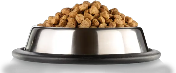  Dog Food Png Picture Dog Food Plate Png Dog Food Png