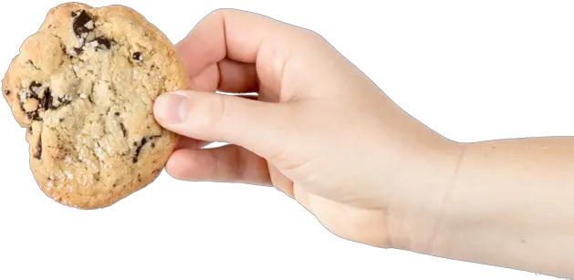  Cookie Policy Andea Hand With Cookie Transparent Png Cookie Transparent