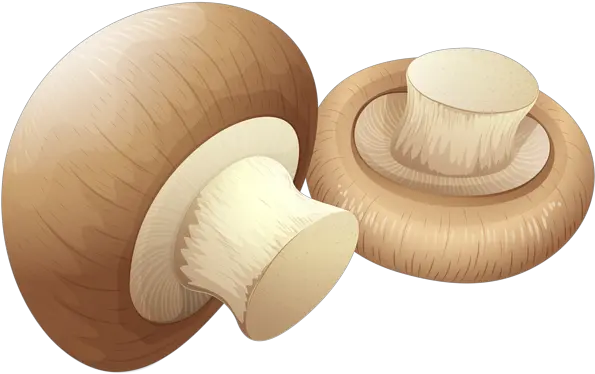  Mushroom Download Free Clip Art With A Transparent Png Background