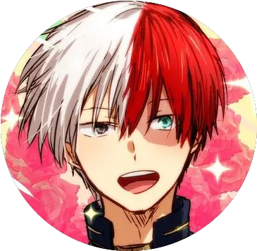  Shoto Todoroki Bnha Png