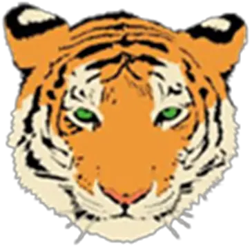  Lu White Tiger Face Clipart Png Tiger Transparent