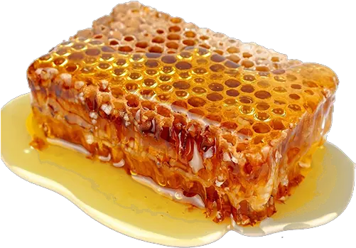  Transparent Noms Bee Propolis Honey Png Honey Transparent