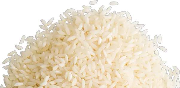  Png Background Rice Graphic Design Png Rice Transparent Background