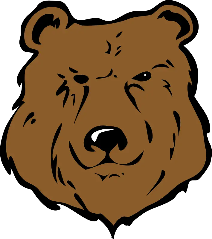  Bear Head Brown Im The Fucking King Png Bear Head Png