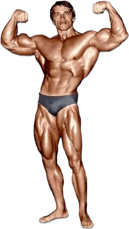  Arnold Schwarzenegger Arnold Schwarzenegger Bodybuilding Png Arnold Schwarzenegger Png