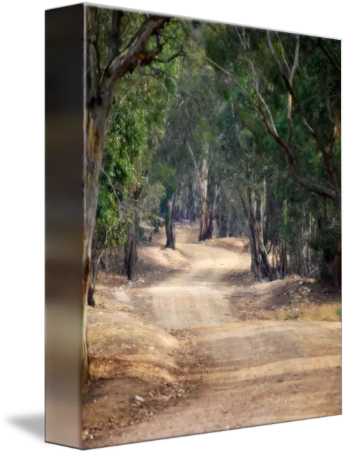  Winding Dirt Road Country Australia By L Stewart Shade Png Dirt Road Png