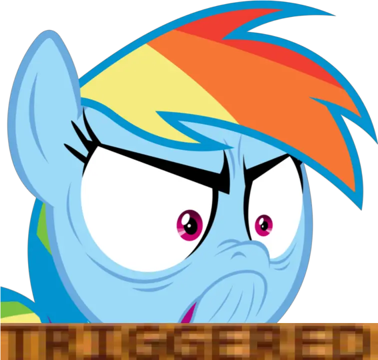  Meme De Drake Png 4 Image My Little Pony Rainbow Dash Meme Meme Transparent Background