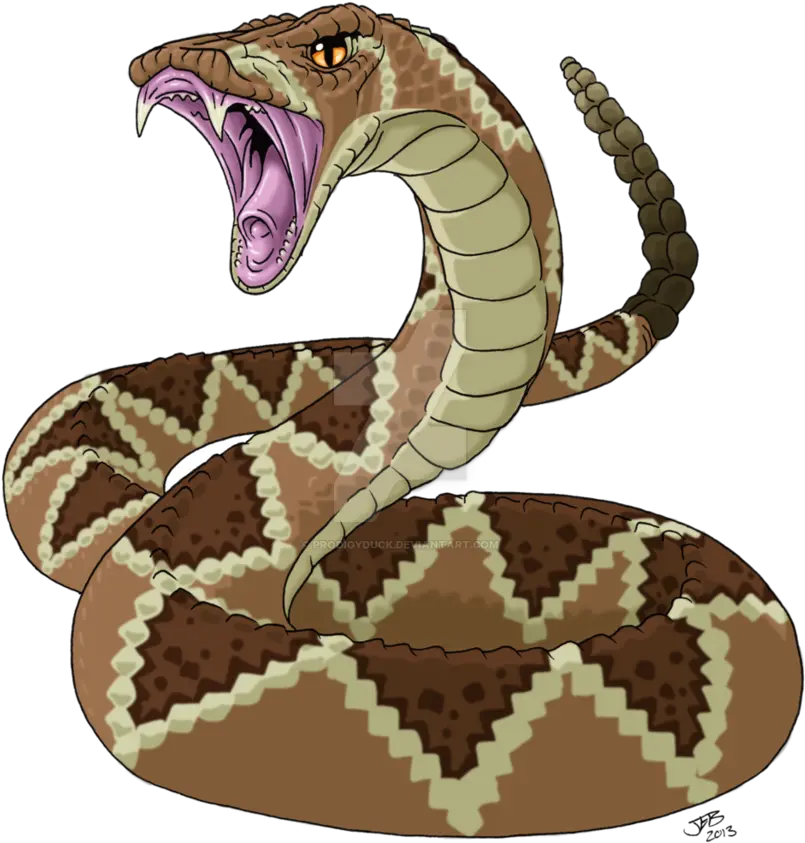  Download Snakeskin Drawing Rattlesnake Western Diamondback Western Diamondback Rattlesnake Cartoon Png Rattlesnake Png