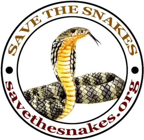  Cropped Stsindialogobackgroundtransparentpng Save The Snake Conservation Snake Transparent