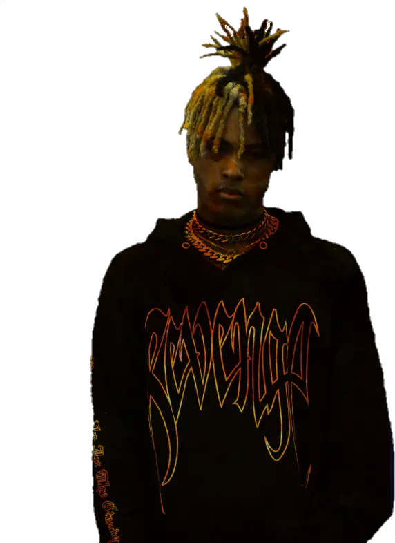  Xxxtentacion Transparent Beautiful Picture Of Xxxtentacion Png Xxxtentacion Hair Png