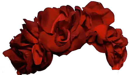  Flower Crown Rose Flower Crown Png Flower Crown Transparent