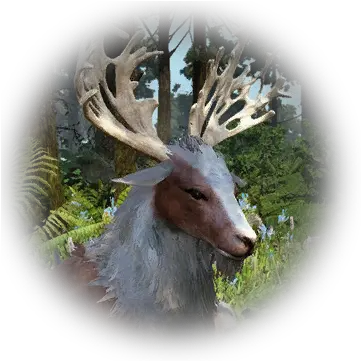  Bdo Kamasylvia Horn Deer Knowledge Database Caribou Png Deer Antler Icon