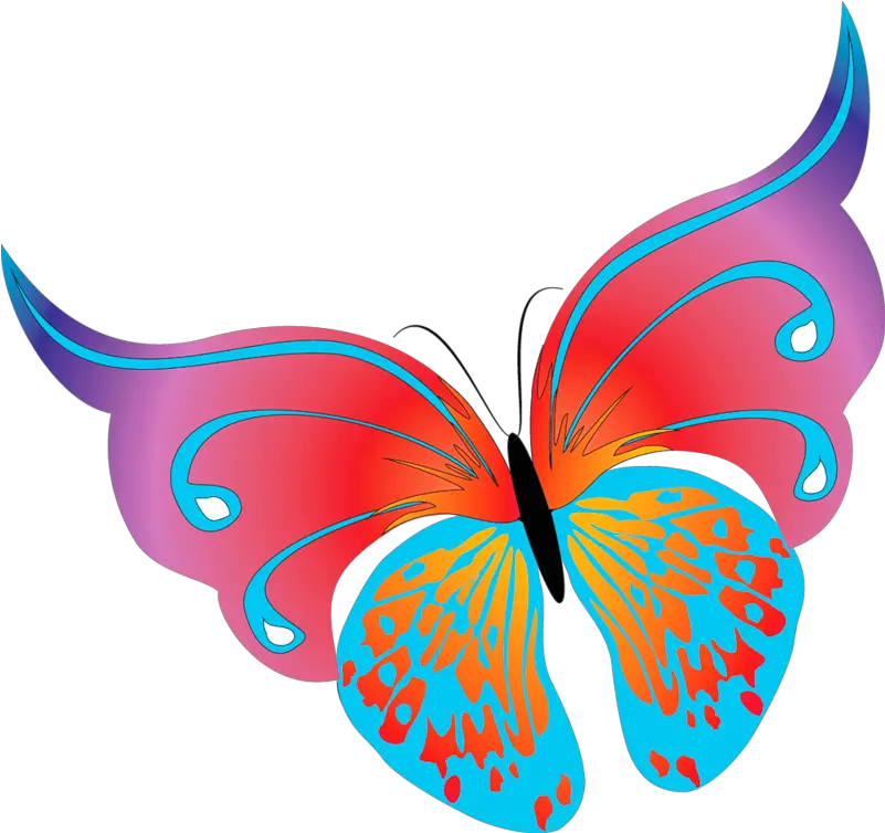  Painted Butterflies Png 26568 Free Icons And Png Backgrounds Butterflies Clipart Butterflies Png