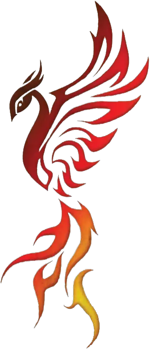  Phoenix Tattoos Free Transparent Png 7394 Transparentpng Color Phoenix Tribal Tattoo Phoenix Transparent