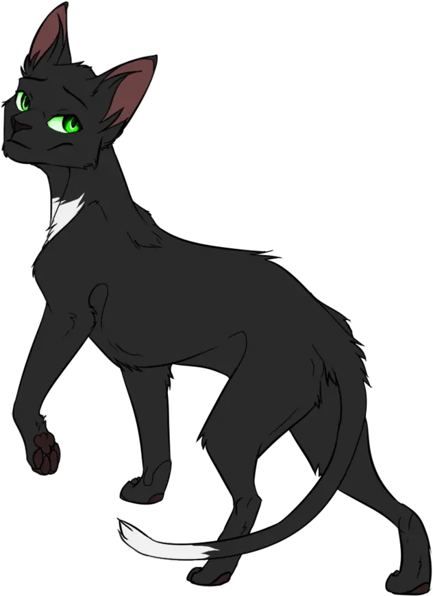  Warrior Cats Thunderclan Medicine Characters Tv Tropes Warrior Cats Ravenpaw Png Characters Png