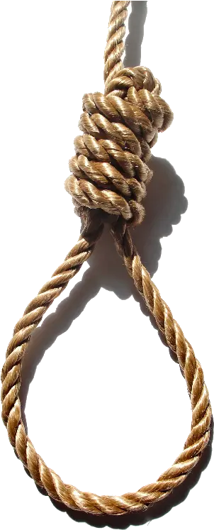  Rope Knot Hanging Noose Grass Clipart Rope To Hang Yourself Png Rope Knot Png