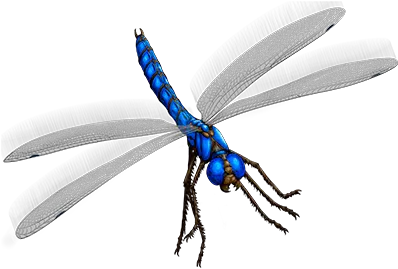  Dragonfly Prickler Wesnoth Units Database Png Dragon Fly Png