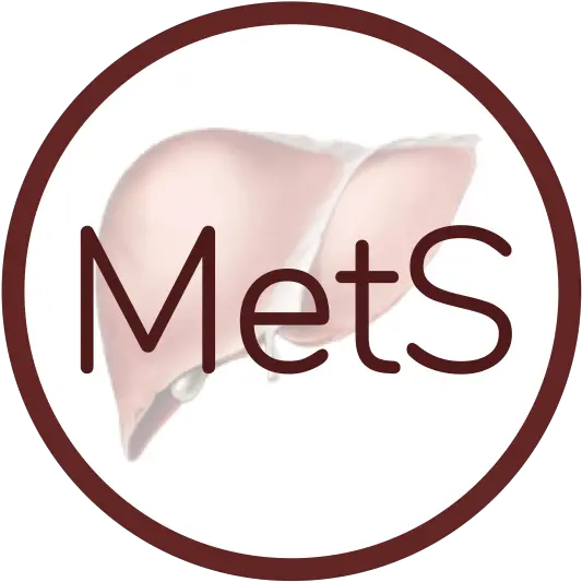  Research Language Png Mets Icon