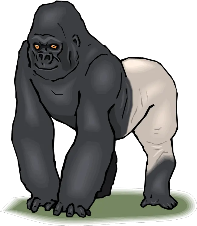  Pix Resolution Silverback Gorilla Clipart Png Gorilla Png