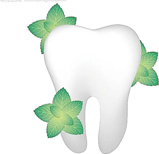  Single Teeth Png Image Transparent Single Teeth Png Teeth Png