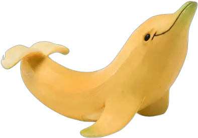  Image About Lol In Transparents By P A Y Transparent Banana Dolphin Png Dolphin Transparent