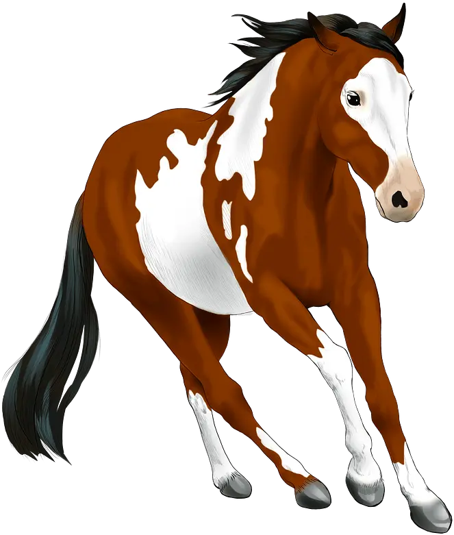  American Paint Horse Clipart Free Download Transparent Png Horse Clipart Horse Transparent Png