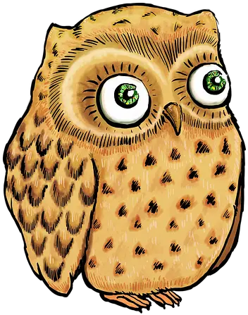  Cute Owl Illustration Drawing Owls Png Owl Png