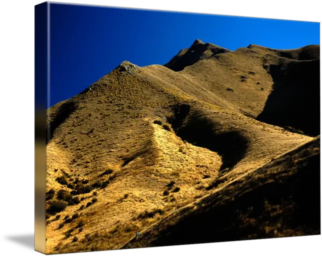  Tussock Grass Hills Of Nz By David Bleakley Rock Desert Png Grass Hill Png