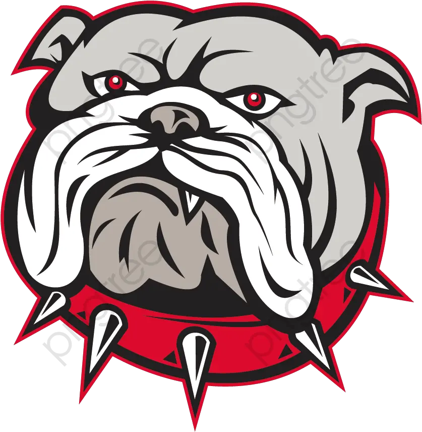  Cartoon Bulldog Head Png Format Image Bull Dog Cartoon Png Bulldog Transparent