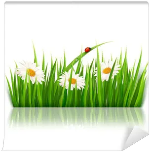  Nature Background With Green Grass And Flowers Vector Wall Mural U2022 Pixers We Live To Change Png Flowers Vector Png