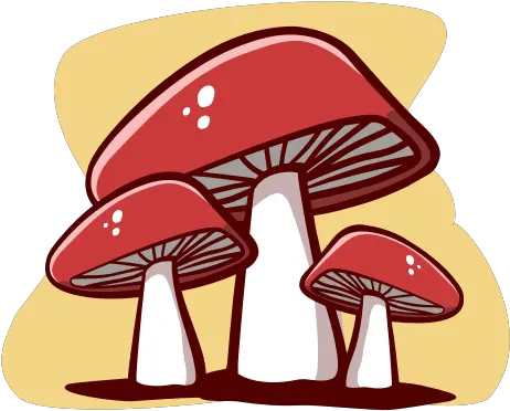  Autumn Cartoon Hand Drawn Mushrooms Nature Outline Mushrooms Cartoon Png Plant Cartoon Png