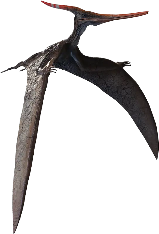  Lone Pterodactyl U2013 Elisa Technologies Inc Loon Png Pterodactyl Png