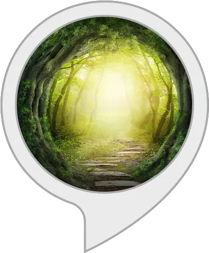  Forest Fantasy Music U0026 Background Amazonin Alexa Skills Magic Forest Drawing Dark Png Forest Transparent Background