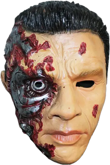  Terminator T Terminator Png Arnold Schwarzenegger Transparent