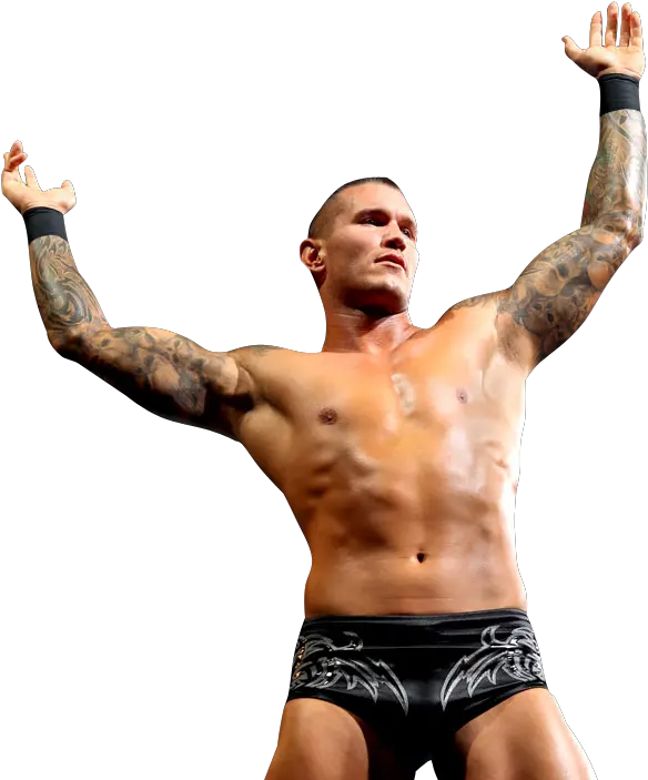  Download Randy Orton Png File 370 Randy Orton On Transparent Background Randy Orton Png