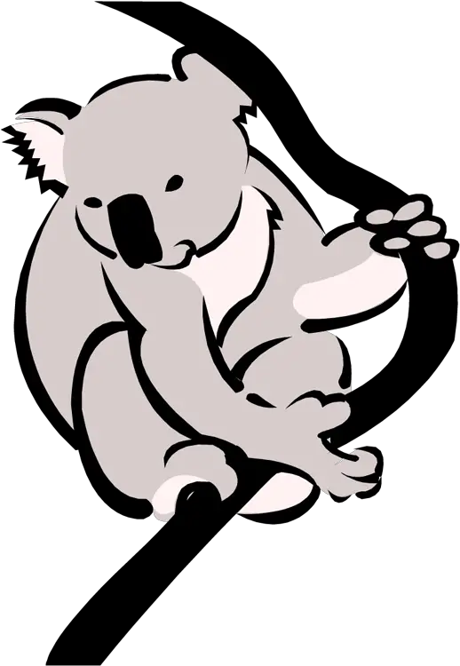  Download Koalapngtransparentimagestransparent Koala Bear Clipart Black And White Png Koala Png