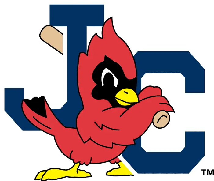  The Birdist Grading Bird Themed Minor League Baseball Teams Johnson City Cardinals Logo Png Bird Logos