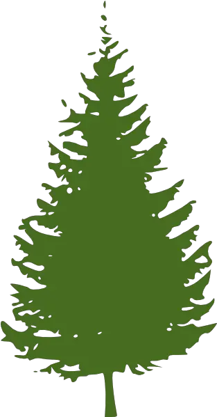  Pine Tree Png Clip Arts For Web Clip Arts Free Png Backgrounds Clipart Black Pine Tree Pine Tree Png