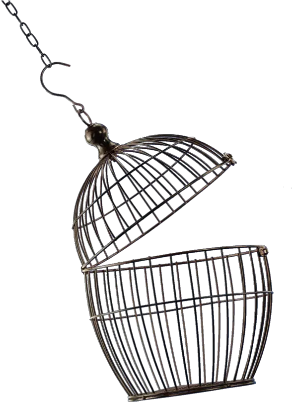  Png Cage Transparent Background Open Bird Cage Png Cage Transparent