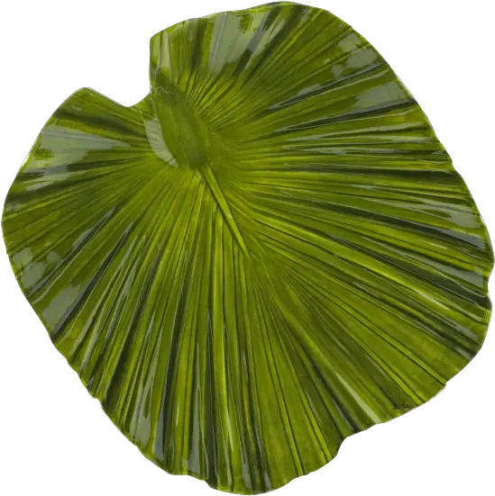  D873pl Tropicana Small Palm Leaf Plate 8u201d X 7 34u201d 1u201d H Skirt Png Palm Leaf Png