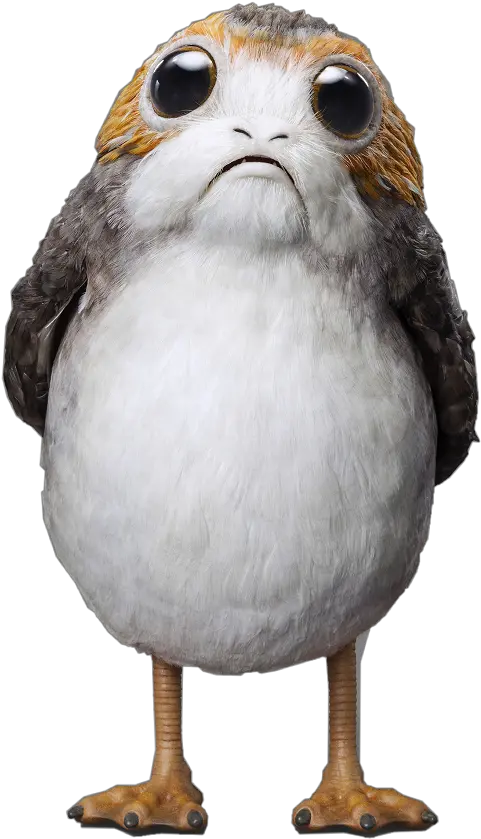  Download Porg Star Wars Plush Porg Star Wars Png Porg Png