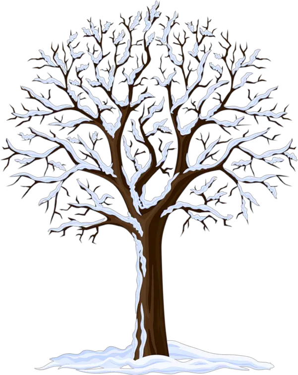  Clipart Arbre Tree Bare Winter Tree Vector Png Trees Background Png