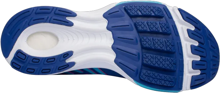  Womenu0027s Fate 7 U2013 Newton Running Company Newton Blue Running Shoes Png Running Shoes Icon