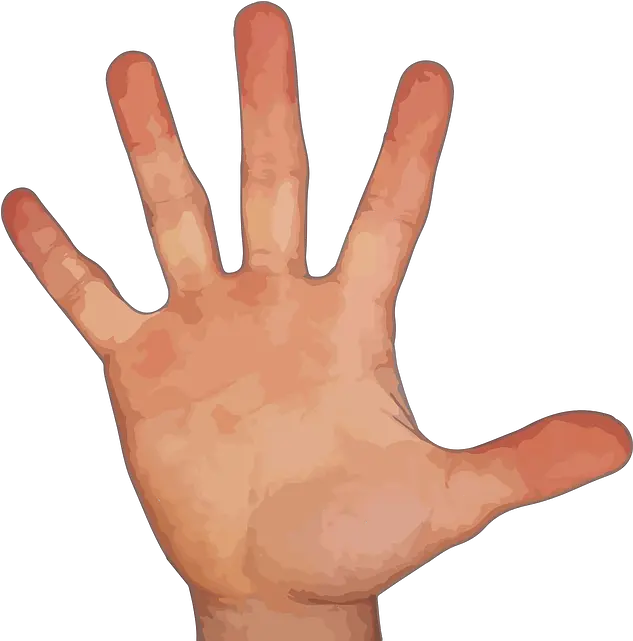  Count Hand With Five Finger Png Master Hand Png